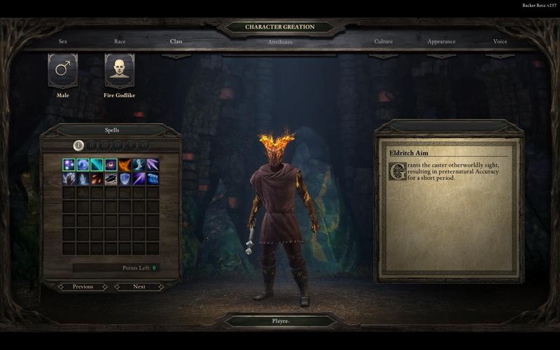 PillarsOfEternity 2014-08-25 18-57-51-58.jpg