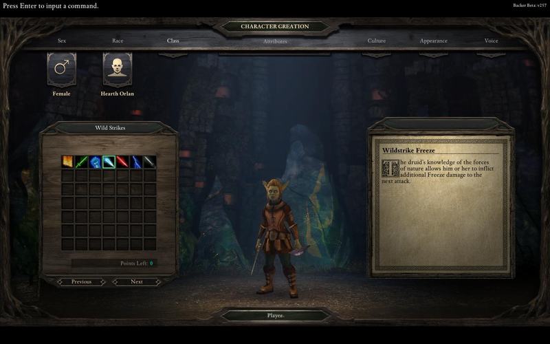 PillarsOfEternity 2014-08-25 18-49-58-46.jpg
