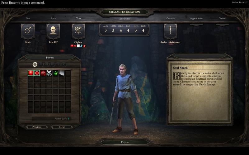 PillarsOfEternity 2014-08-25 19-02-48-73.jpg