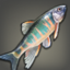 《最終幻想14》艾歐澤亞漁場魚王捕獲攻略