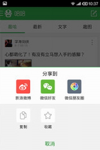 傲游哈哈3