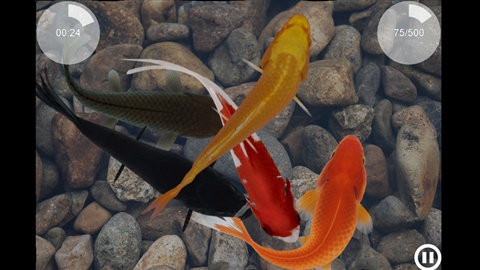 Lifelike Fish3
