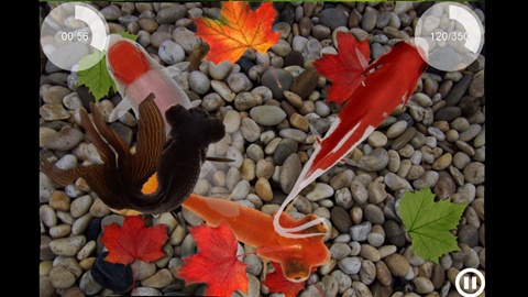 Lifelike Fish5