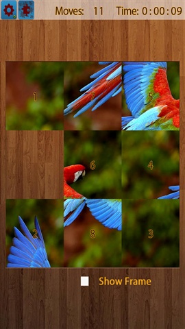 拼圖-鳥4