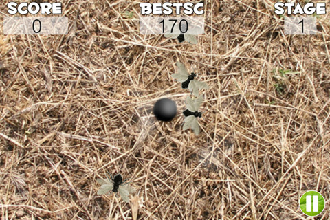 Smash these Bees3
