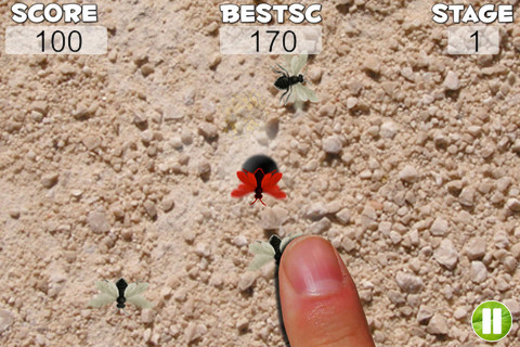Smash these Bees5