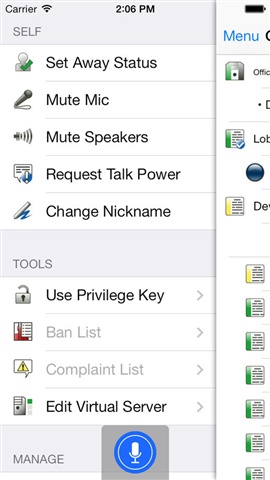 TeamSpeak 33