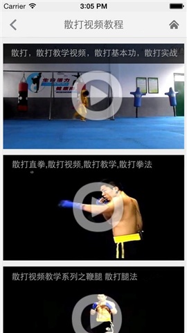散打速成3