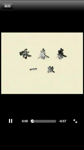 詠春拳3