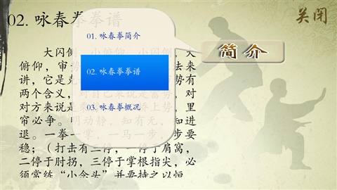 詠春拳5