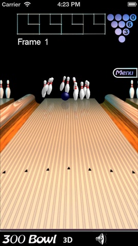 300 Bowl Universal3