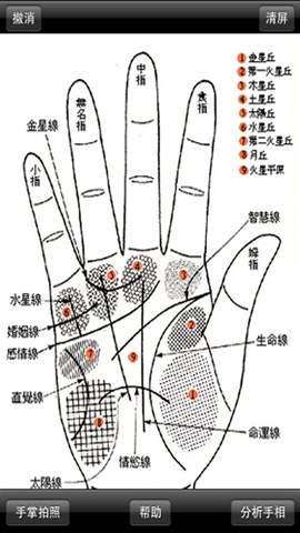 手相大師5