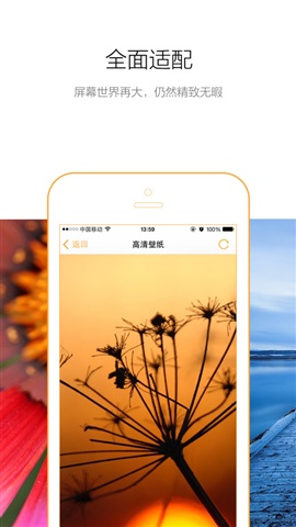 玉米助手2