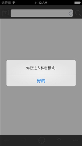 私密瀏覽器3