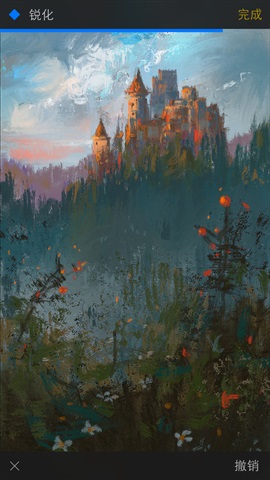Procreate Pocket5