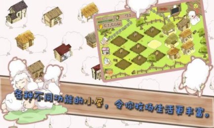 養(yǎng)肥羊23