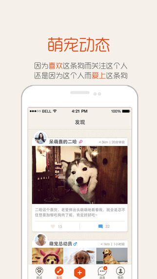 抓抓5