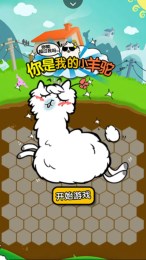 你是我的小羊駝1