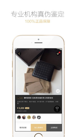 愛丁貓奢侈品1