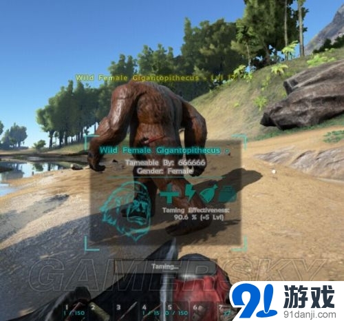 方舟：生存進化金剛馴服方法