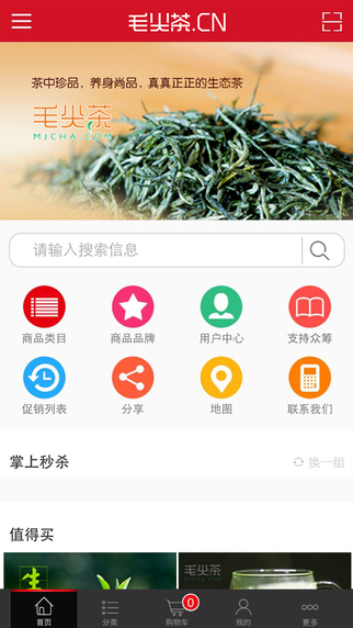 毛尖茶1