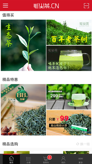 毛尖茶2