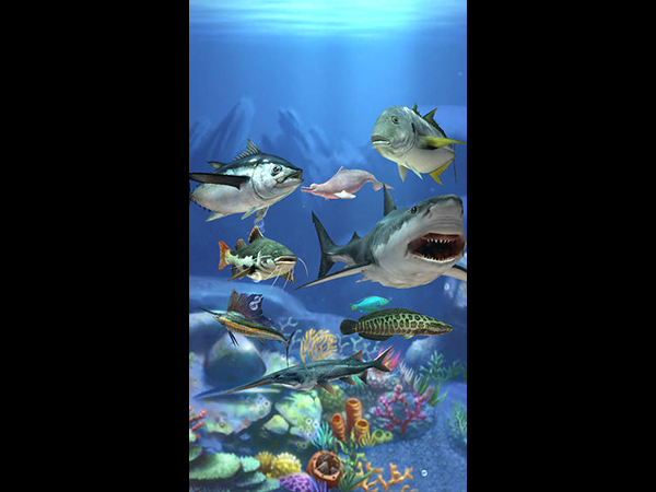釣魚(yú)發(fā)燒友 電腦版1