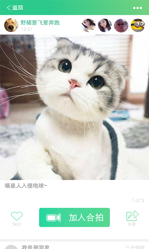 合拍兒3
