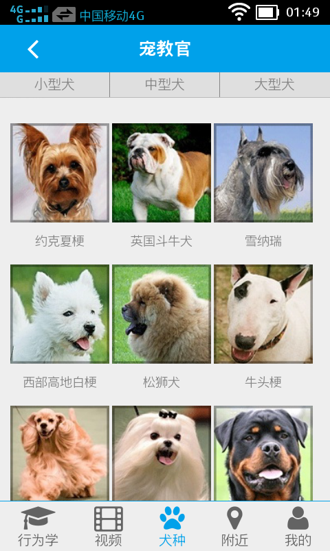 寵教官1