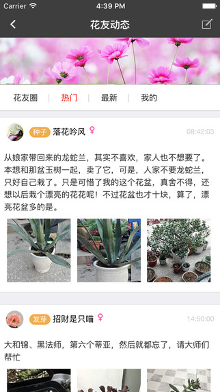 楓橋居花卉2