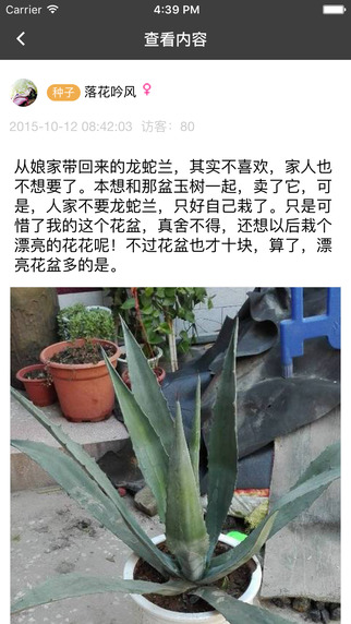 楓橋居花卉3