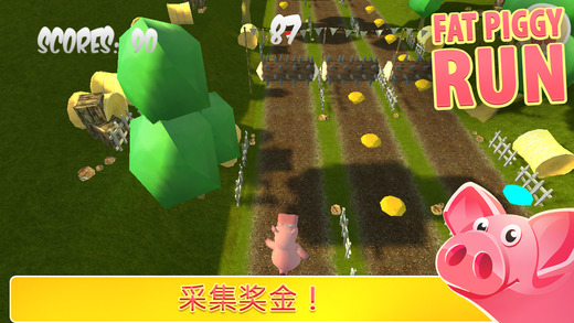 胖豬跑步2