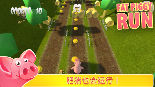 胖豬跑步1