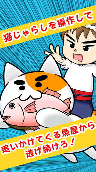 躲避貓1