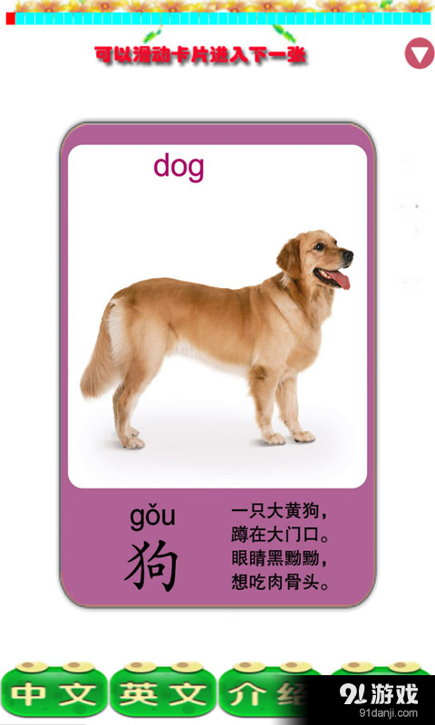 兒童認動物2
