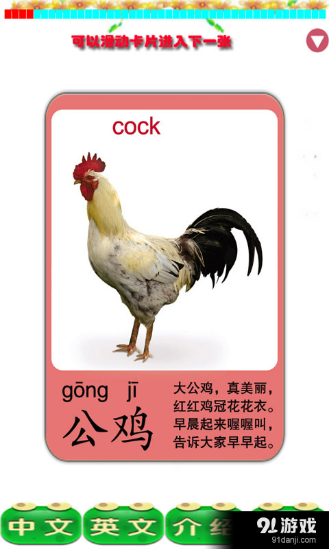 兒童認動物3