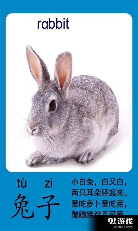 寶寶識動物1