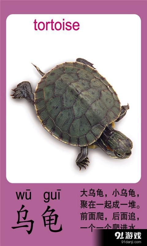 寶寶識動物5