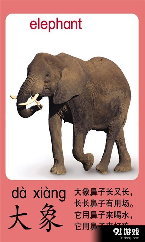 寶寶識動物2
