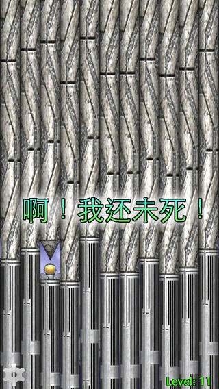 天天鉆空子4