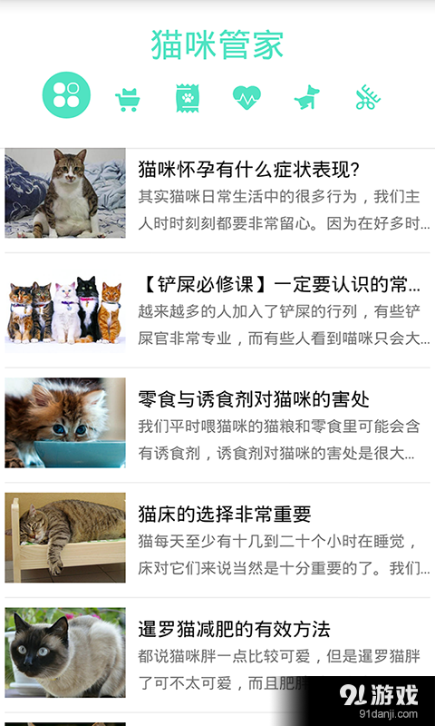 貓咪管家2