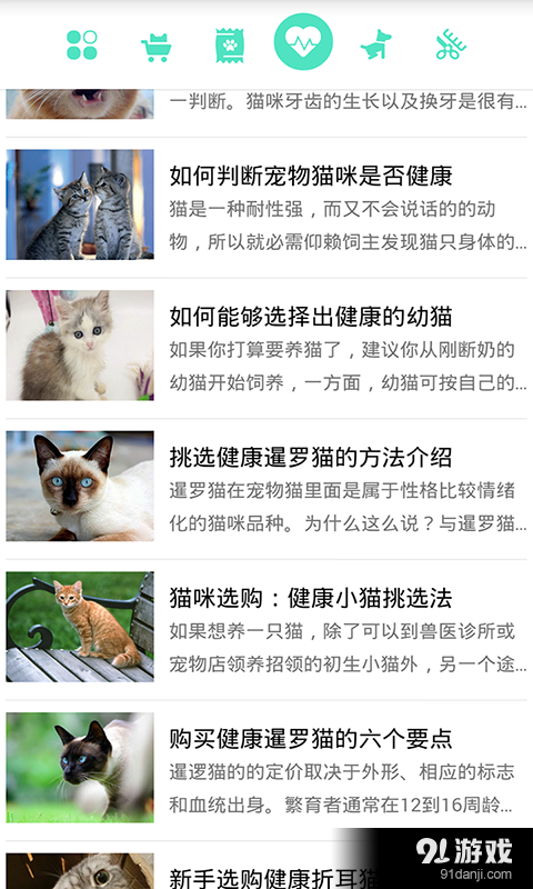 貓咪管家4