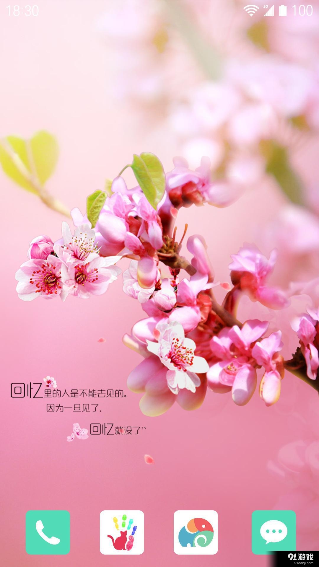 回憶：夢象動態(tài)壁紙3