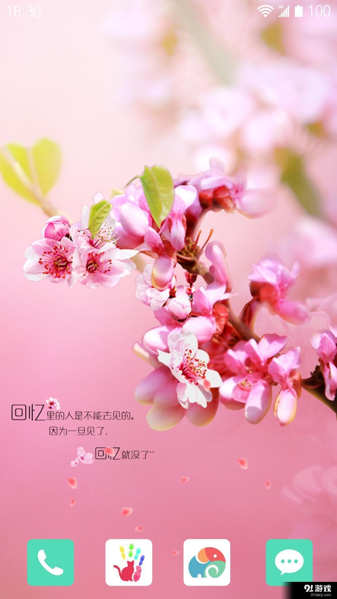 回憶：夢象動態(tài)壁紙4