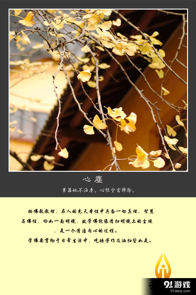 和平網(wǎng)2