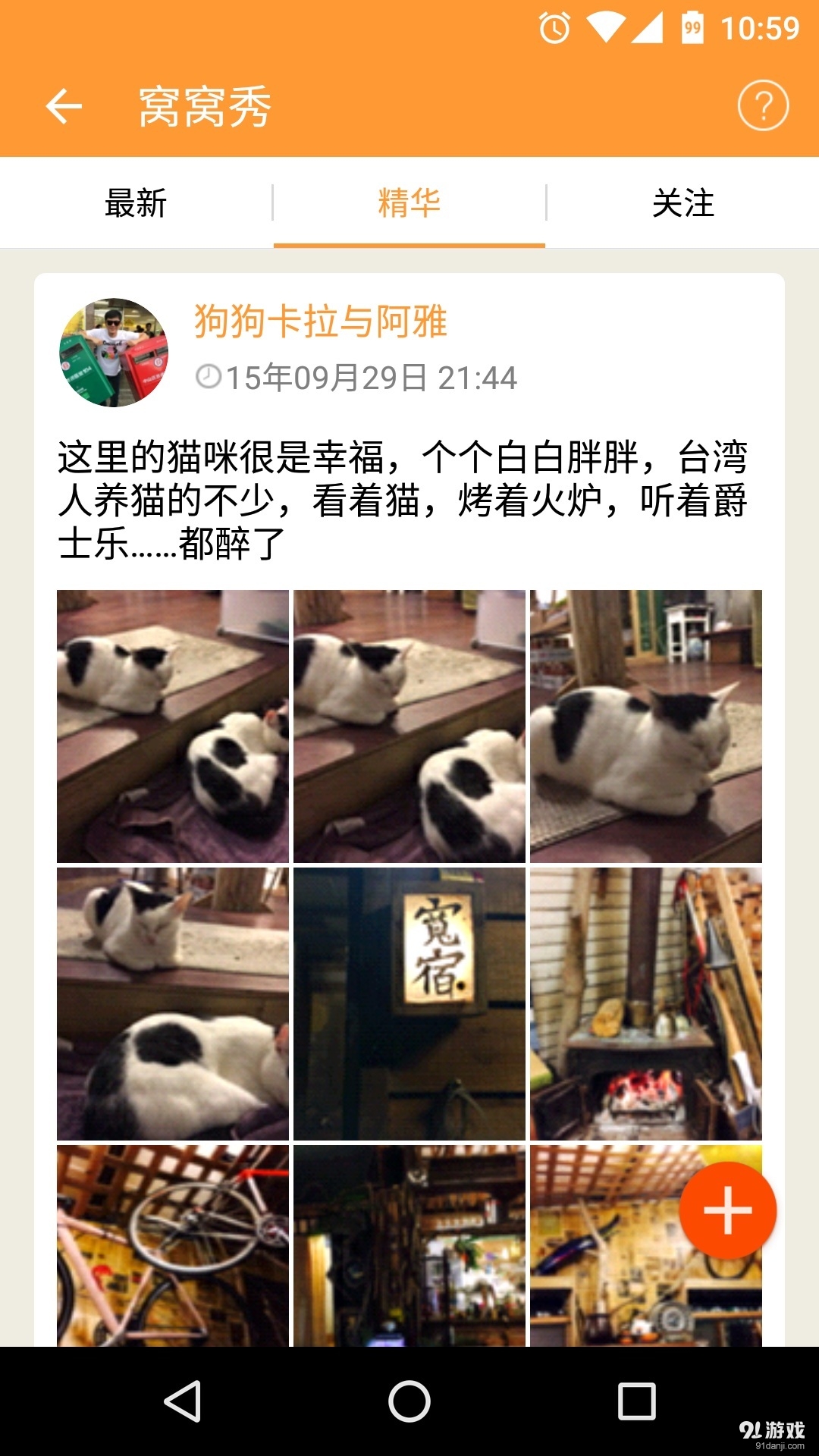 萌窩寵物4