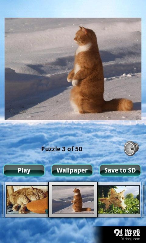 貓拼圖 Cats Puzzle1