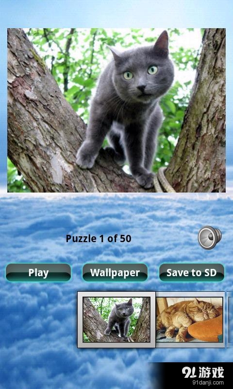 貓拼圖 Cats Puzzle3