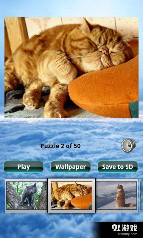 貓拼圖 Cats Puzzle2