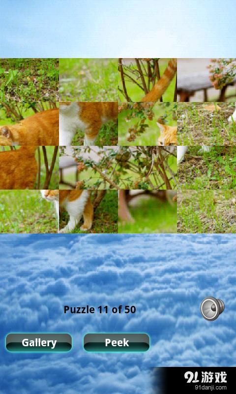貓拼圖 Cats Puzzle4